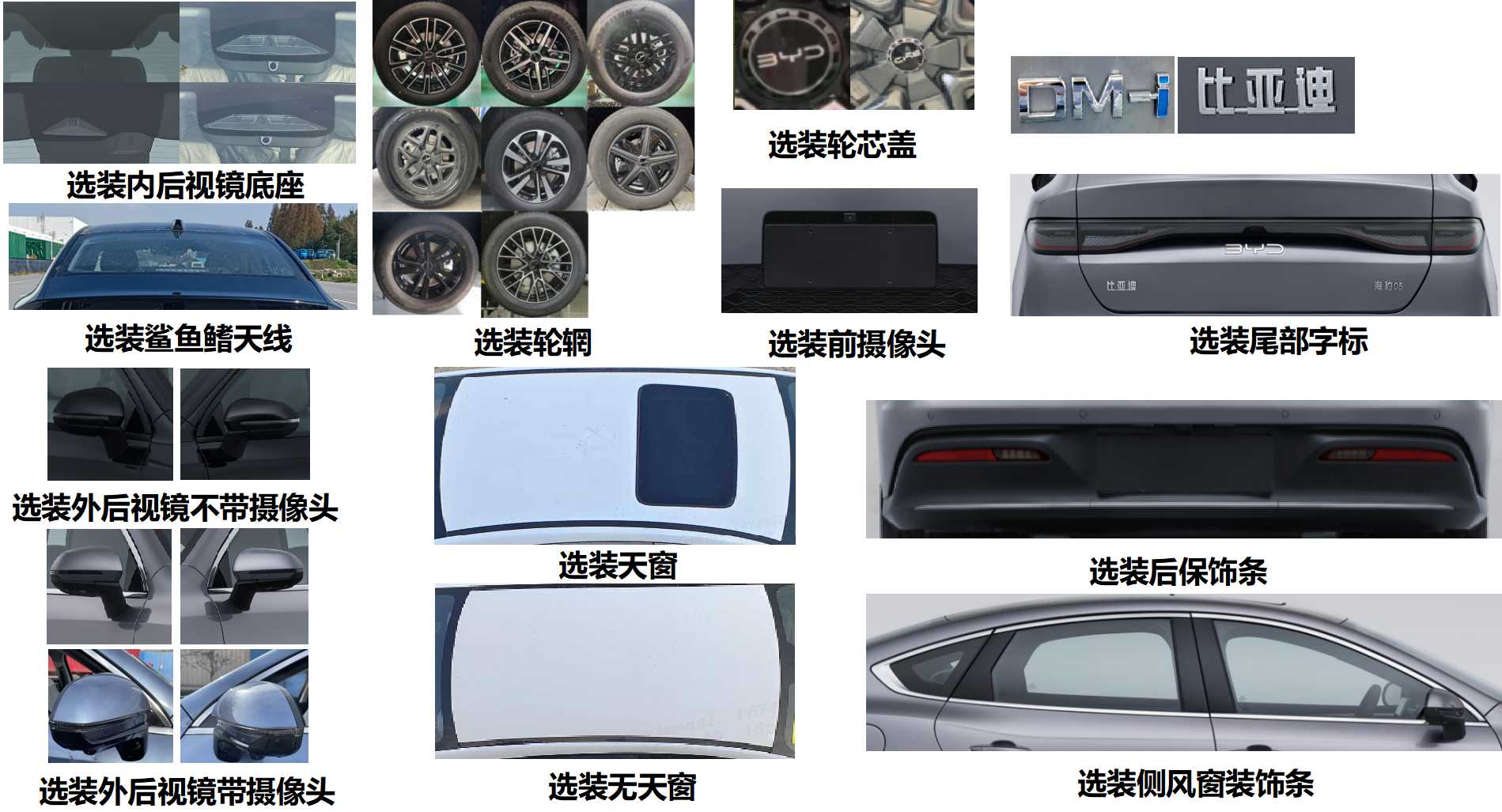 比亚迪新款秦 PLUS / 海豚 / 海豹 05 完成申报，采用全新设计语言