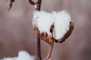 如何理解期货交易中的平今平昨操作？这种操作对交易成本有何影响？