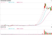 松发股份拟置入恒力重工100%股权