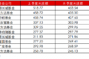 葛兰二季度在管基金规模缩水51亿 旗下中欧医疗健康跑输业绩比较基准