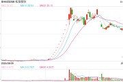 营收5连降，资产负债率高企，松发股份如何确保转型成功