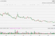 Spirit Airlines一度暴跌37%，传正与债券持有人讨论潜在破产申请条款