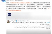 以色列国防军阿拉伯语发言人否认以军接近大马士革