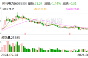 神马电力：变更会计师事务所为安永华明