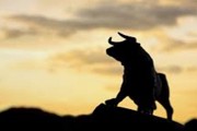 在牛市中应该选择什么样的股票？这些股票的选择依据是什么？