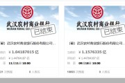 中小银行股权成拍卖台常客 接盘方缘何“难觅”