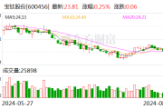 宝钛股份：2024年上半年净利润同比增长5.85%