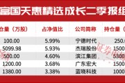 这些重仓公司能想到吗?朱少醒、程洲、邹曦等公募老将也有“神来之笔” 这些重仓公司能想到吗?朱少醒、程洲、邹曦等公募老将也有“神来之笔”