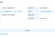 恒大恒驰汽车上海公司被申请破产审查