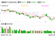 氯碱化工：拟发行可转债不超过40亿元