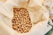 如何理解豆柏期权含义？豆柏期权有什么特点？