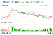 三棵树：2024年半年度净利润约2.1亿元