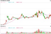 DeepSeek“现象级”崛起！ 蛇年A股首个交易日指数涨超13%，4只成分股20CM涨停