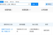 上海爱驰汽车母公司所持15亿股权被冻结