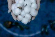 如何实施期权盒式无风险套利？套利过程中有哪些要点？