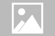 科大国创：接受国泰海通证券等机构调研