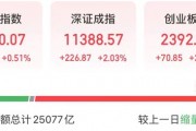 批量历史新高，科技股扎堆20CM涨停 发生了什么？
