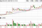 腾远钴业:2025年半年度净利润约4.69亿元,同比增加9.94% 腾远钴业:2025年半年度净利润约4.69亿元,同比增加9.94%
