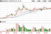 华盛锂电大宗交易成交354.00万元