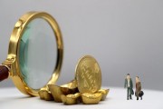 如何中签后进行新基金的合理判断？这种判断的依据是什么？