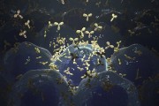 出海不顺的信达生物利润转正，单靠国内市场能维持吗？