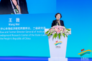 国务院发展研究中心二级研究员王微：织密海上贸易通道网络，推动港航贸一体化发展